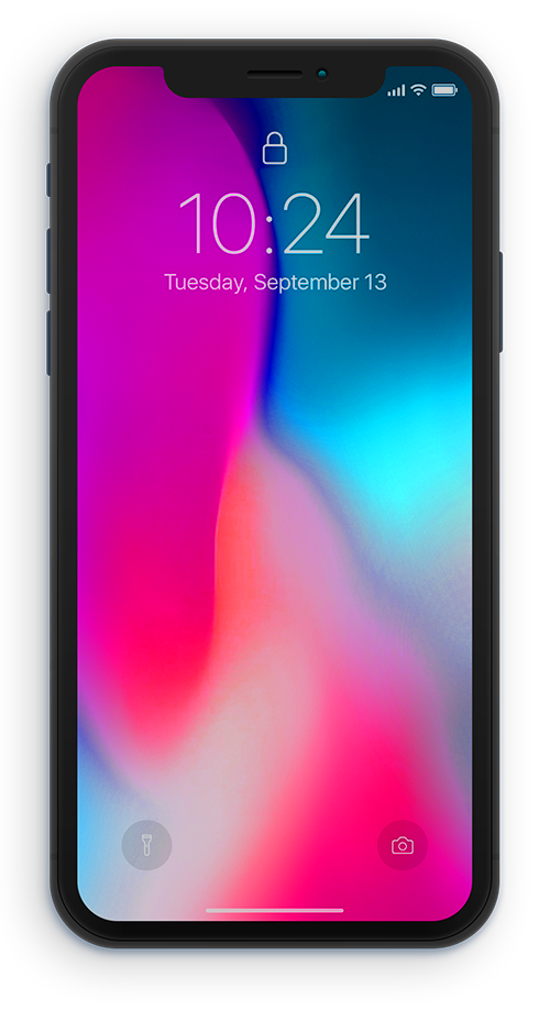 BiteBalance on Phone